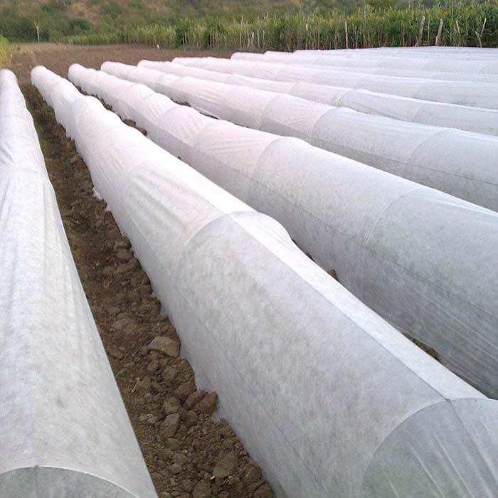 Shady nonwoven ground cover