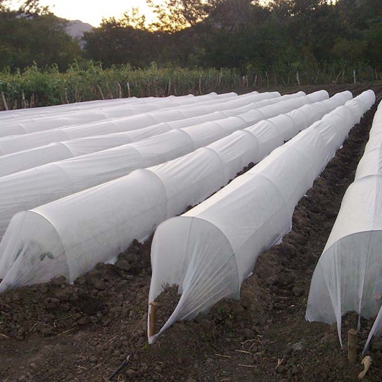 Planting non-woven ground cover