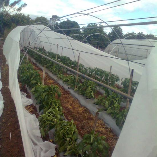 Landscape cloth for vegetable garden