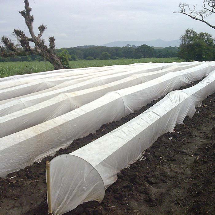 Agriculture Greenhouse Ground Cover