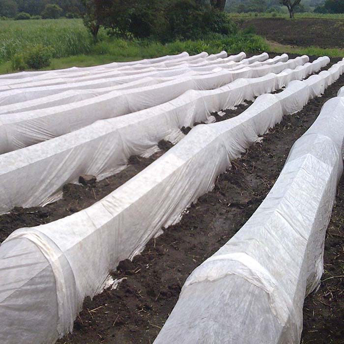 Non-woven agricultural fabric ground cover