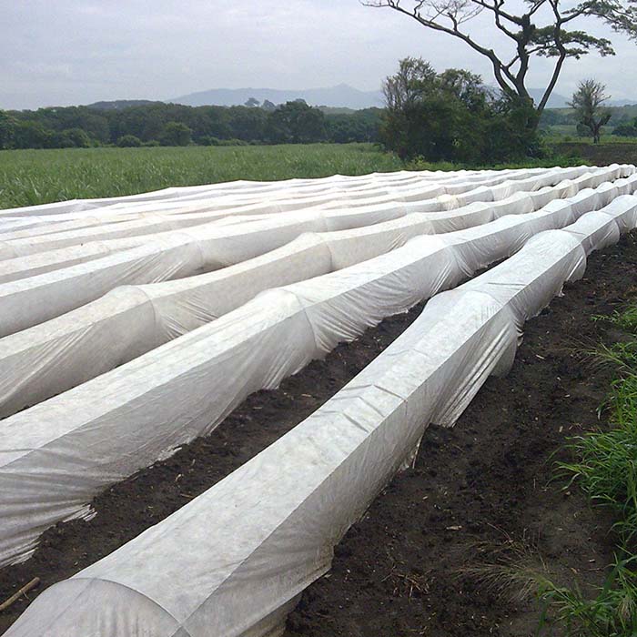Non-woven ground cover for shade