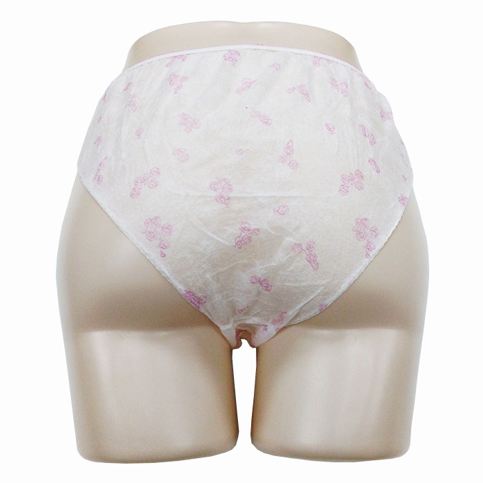 Nonwoven disposable ladies lingerie