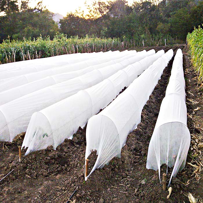 Nonwoven Ground Cover For Shaded Slope