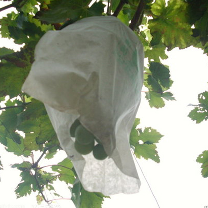 Do you know the advantages and disadvantages of non woven grape bag?